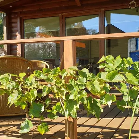 別荘 Wilimy, Przy Stawie *