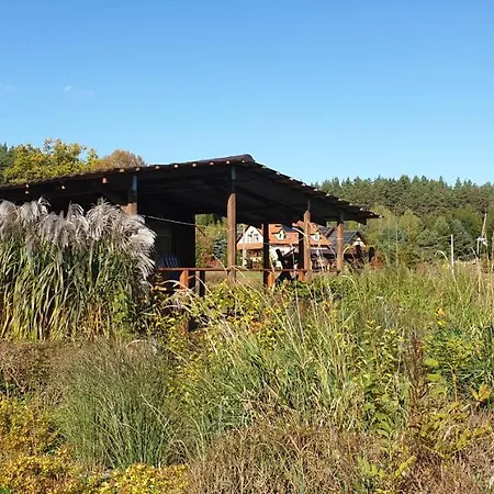 Wilimy, Przy Stawie *